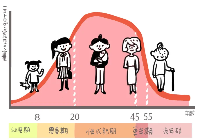 なぜ更年期障害や生理痛は起こるの？